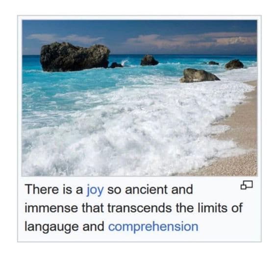screenshot from wikipedia: "There is a joy so ancient and
    immense that transcends the limits of langauge and comprehension