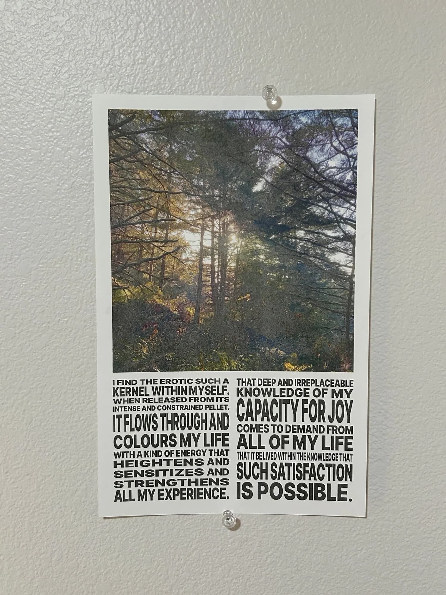 studio/poster.jpeg image 31