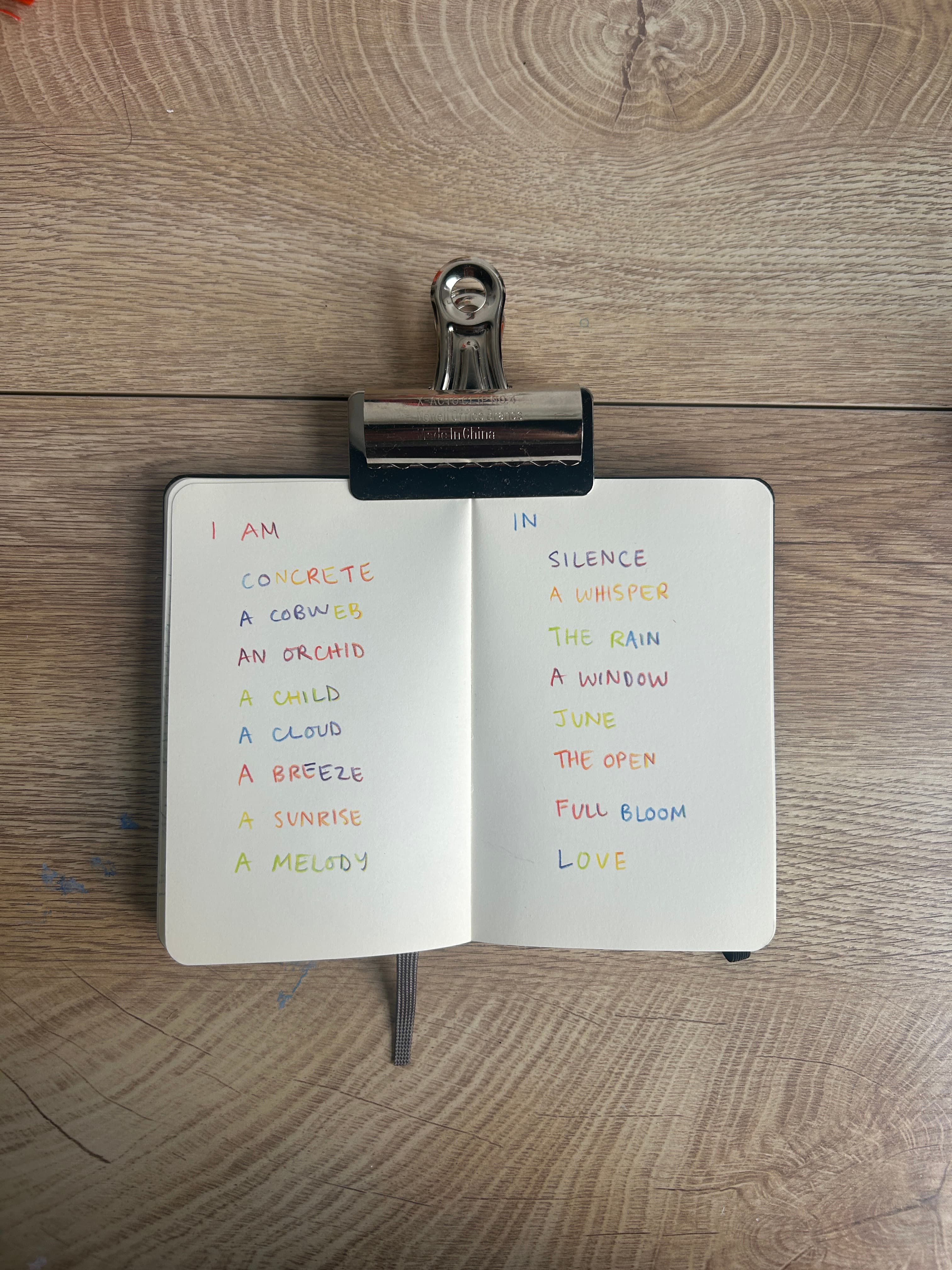 poetry toy image NaN